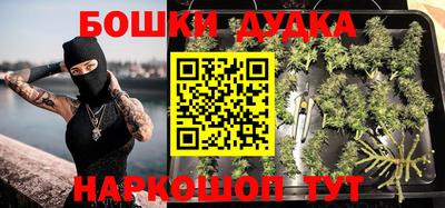 индика Рязань