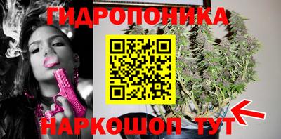 индика Рязань
