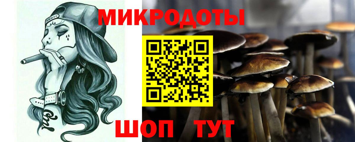 Саратов  Псилоцибиновые грибы Cubensis  Галлюциногенные грибы MAGIC MUSHROOMS  Вход с VPN 