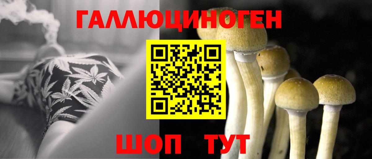 Псилоцибиновые грибы Magic Shrooms Саратов