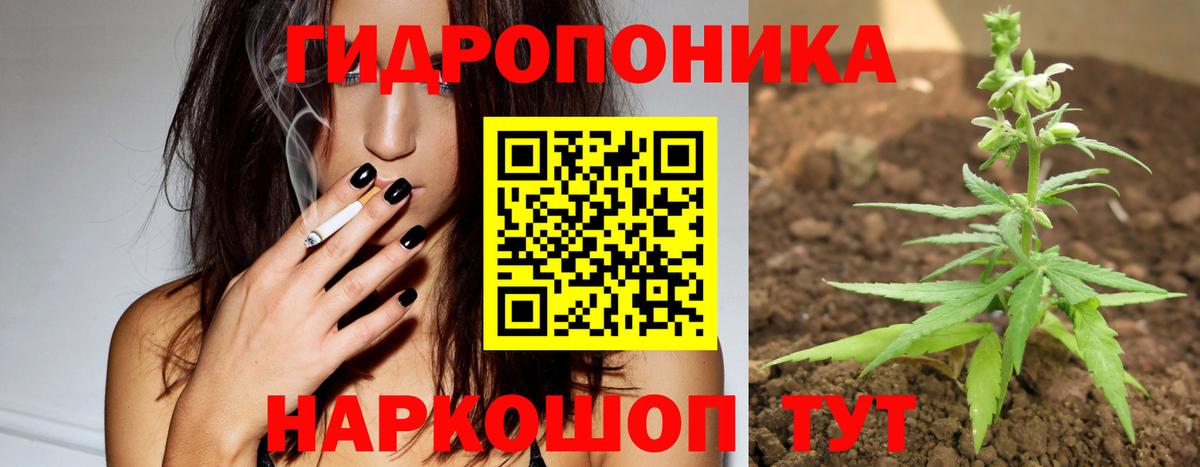 Бошки Шишки сатива Саратов
